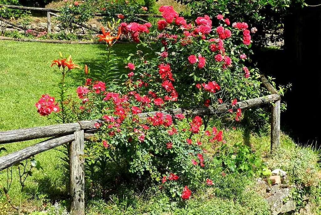 B&B Il Casale Delle Pianacce Castiglione di Garfagnana Bagian luar foto