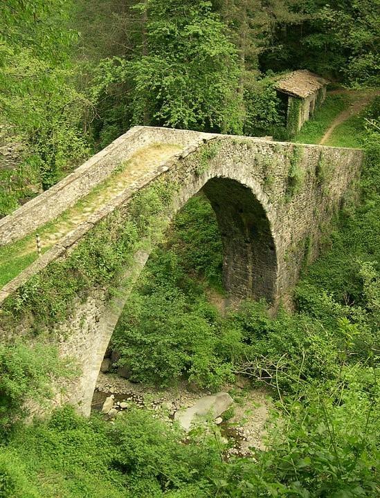 B&B Il Casale Delle Pianacce Castiglione di Garfagnana Bagian luar foto