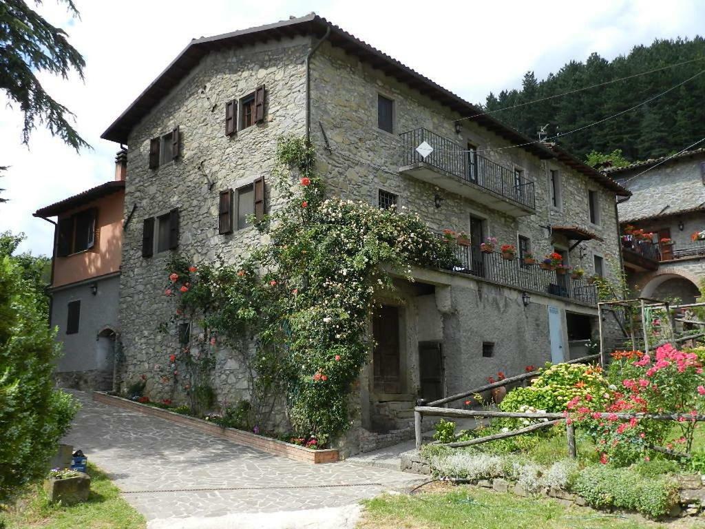 B&B Il Casale Delle Pianacce Castiglione di Garfagnana Bagian luar foto