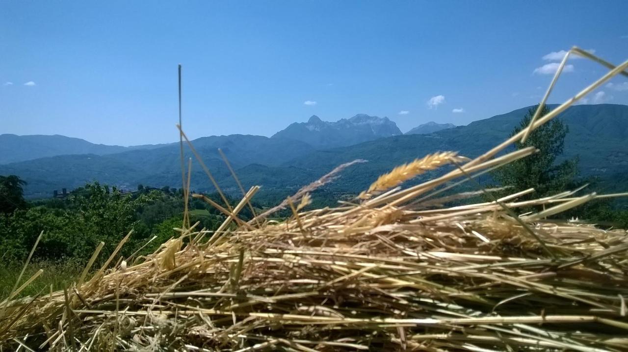 B&B Il Casale Delle Pianacce Castiglione di Garfagnana Bagian luar foto